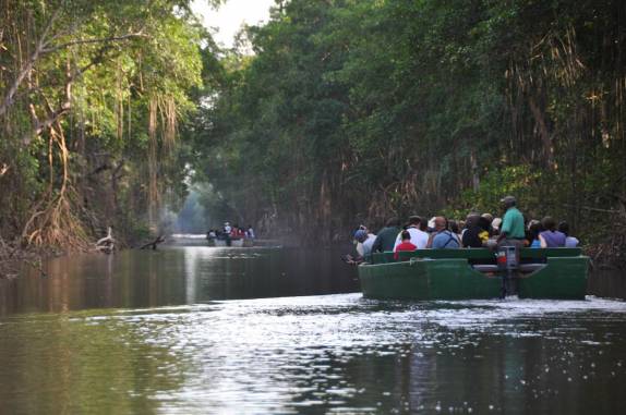 Barcos nos levam no pântano/mangue de Caroni, próximo à Port of Spain, em Trinidad e Tobago